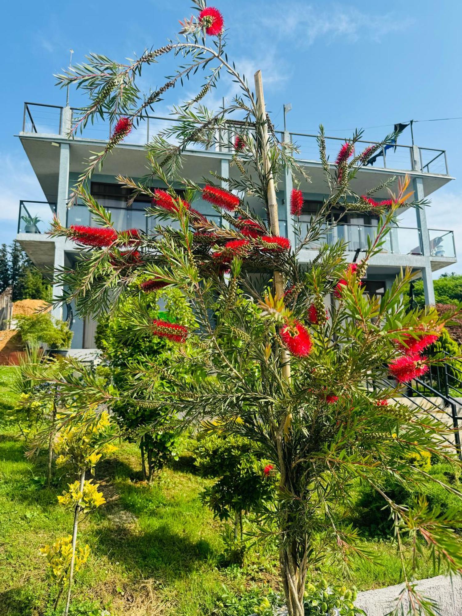 Family Hotel Sunset Chakvi Exterior foto
